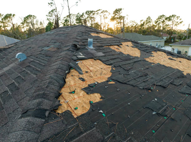 Best Metal Roofing Installation  in Homer City, PA